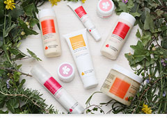 ビオッフィチーナトスカーナ