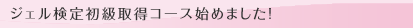 ジェル検定初級取得コース始めました!
